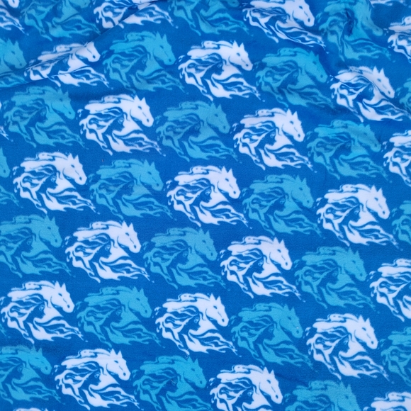 Frozen II Elsa & The Nokk Water Spirit Horse No-Sew Reversible Tie Fleece Blank